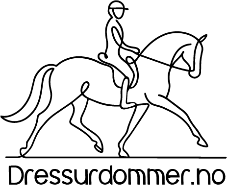 dd logo kvadrat